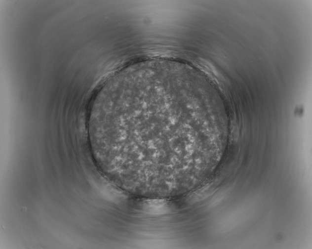 X0000089960377200707201954