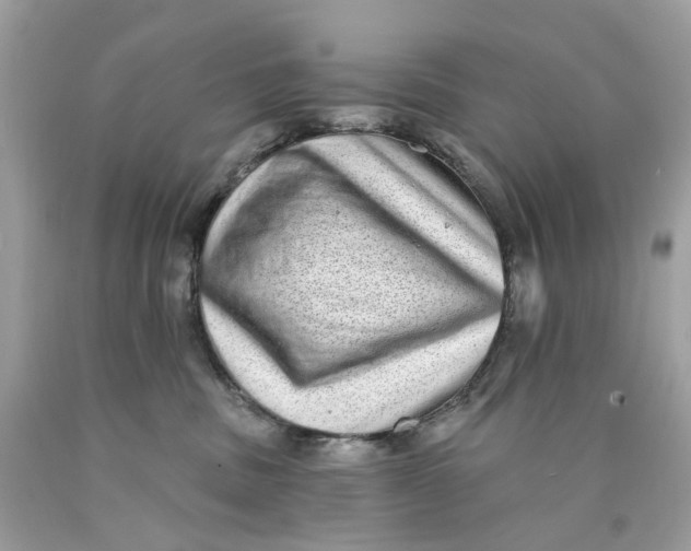 X0000089960379200707201954