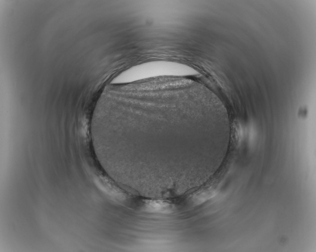 X0000089960380200707201954