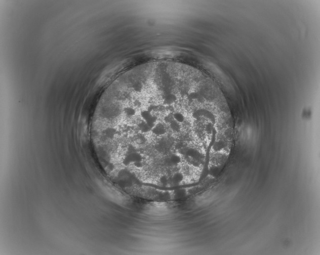 X0000089960381200707201954