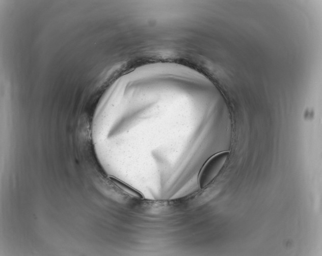 X0000089960384200707201954