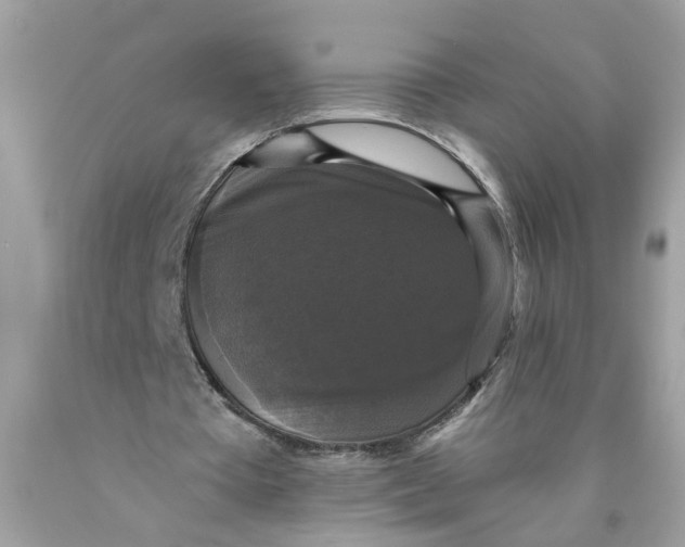 X0000089960385200707201953