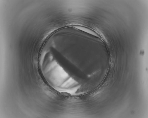 X0000089960386200707201953