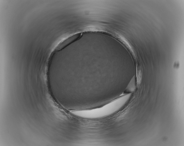 X0000089960387200707201953