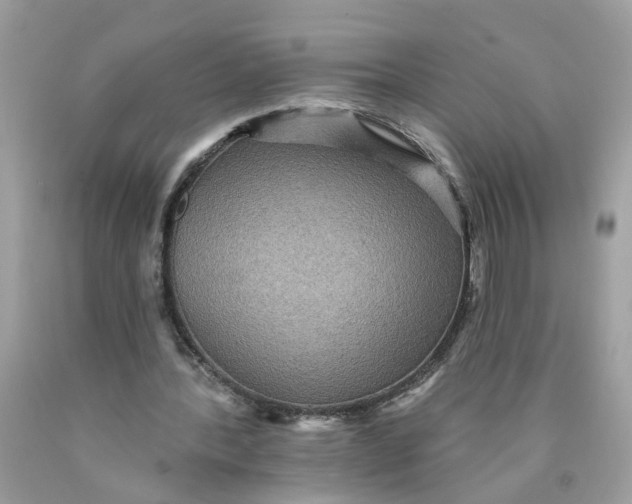 X0000089960388200707201953