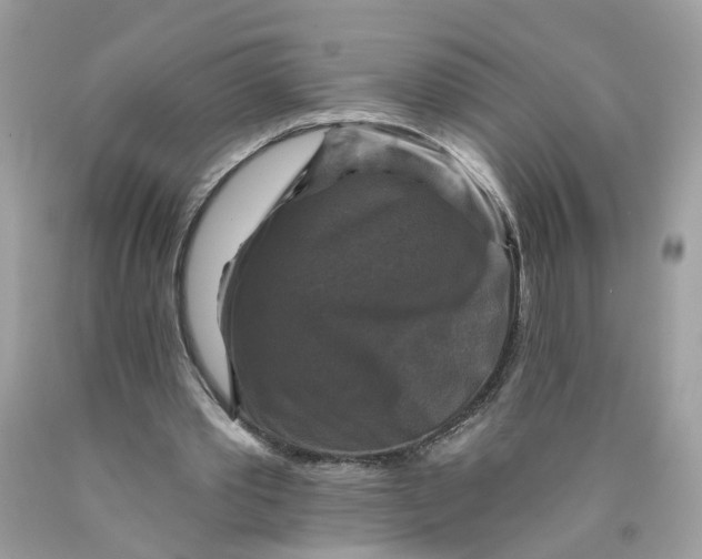 X0000089960389200707201953