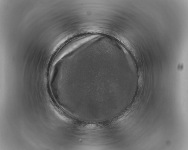 X0000089960390200707201953