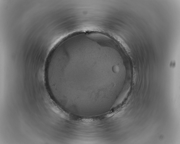 X0000089960391200707201953