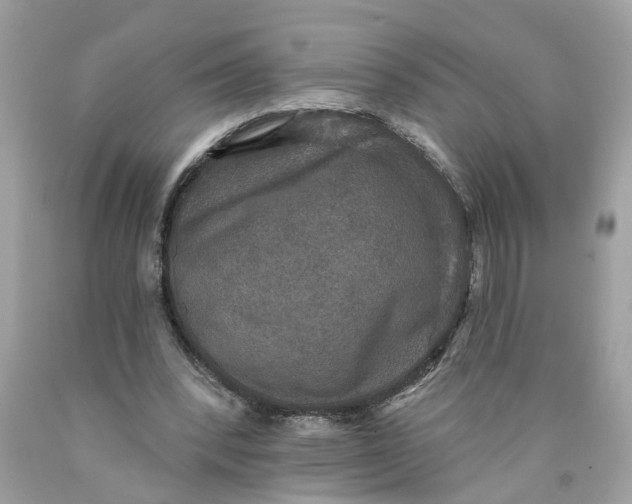 X0000089960392200707201953