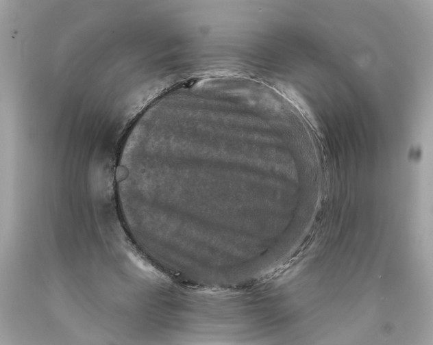 X0000089960393200707201953