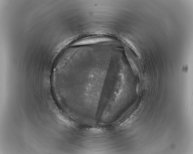 X0000089960394200707201953