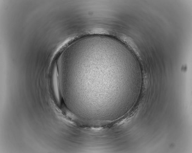 X0000089960395200707201953