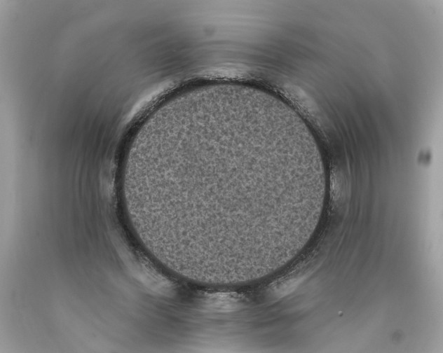 X0000089960396200707201953