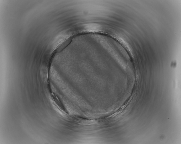 X0000089960397200707201953