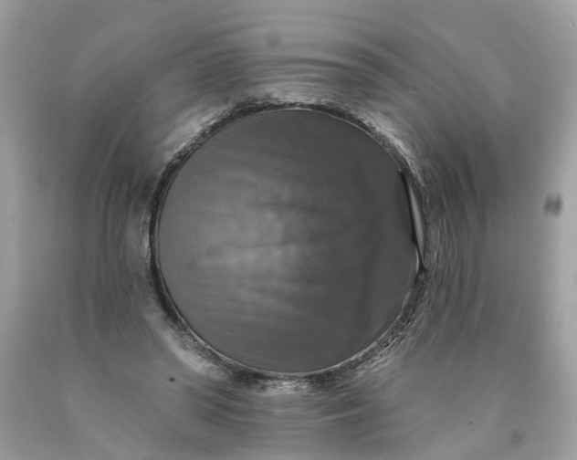 X0000089960398200707201953