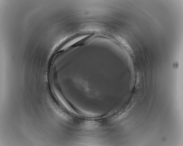 X0000089960399200707201953