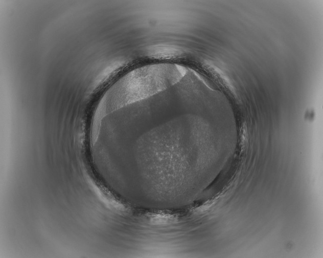 X0000089960400200707201953