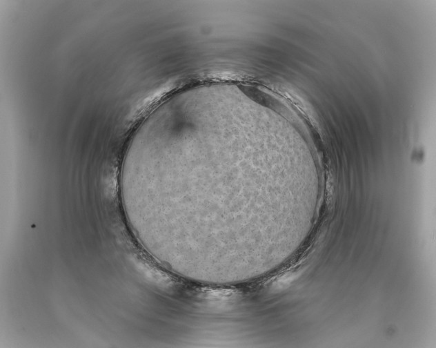 X0000089960401200707201953