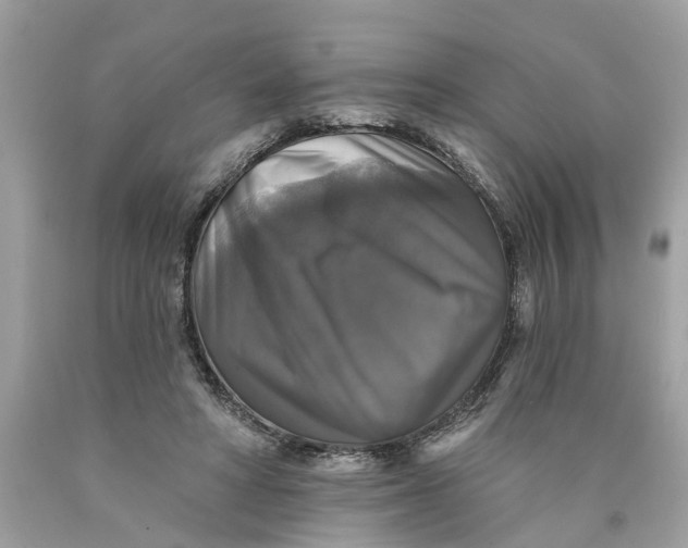 X0000089960402200707201953