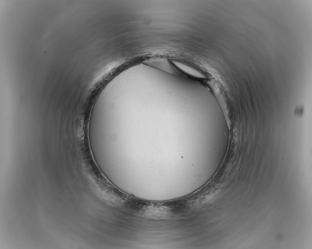 X0000089960403200707201953