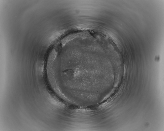 X0000089960404200707201953