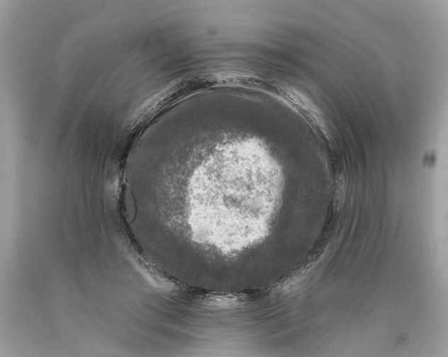 X0000089960405200707201953