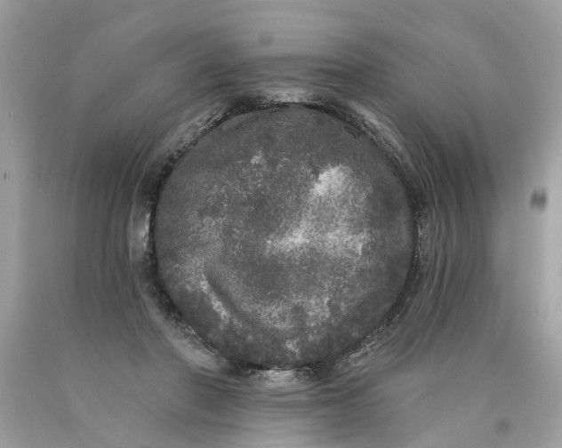 X0000089960406200707201953