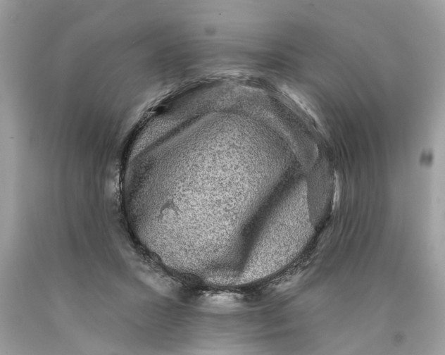 X0000089960407200707201953