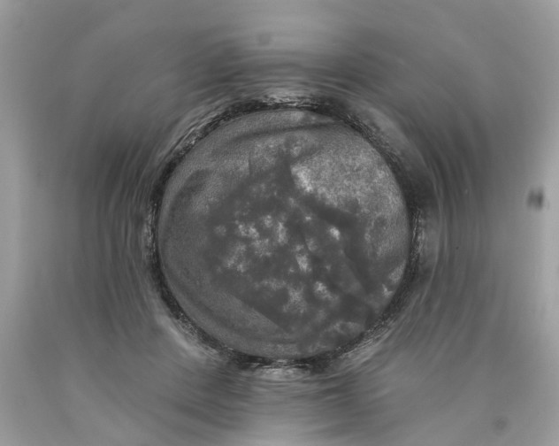 X0000089960408200707201953