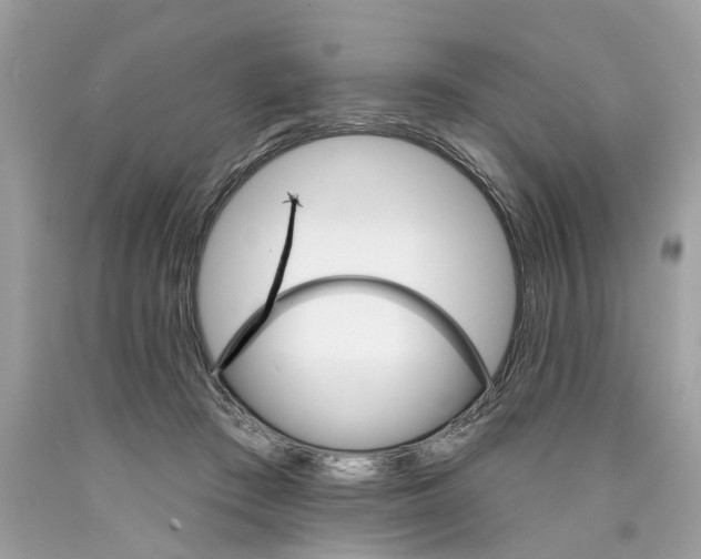 X0000089960409200707201953