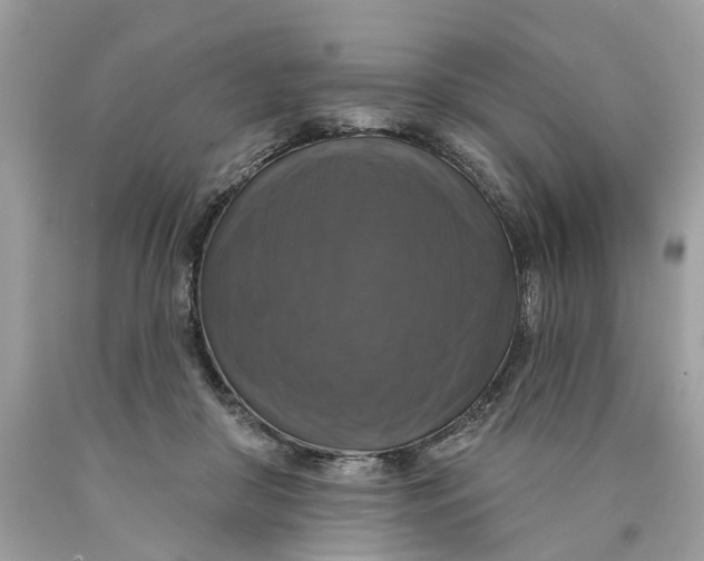 X0000089960410200707201953