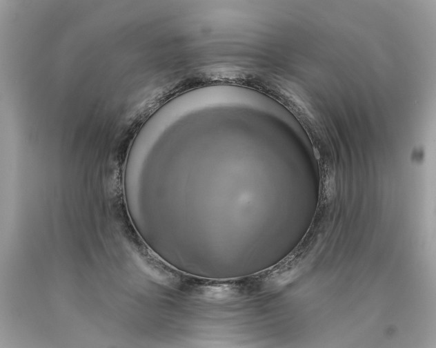 X0000089960411200707201953