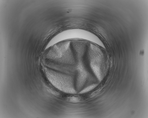 X0000089960412200707201953