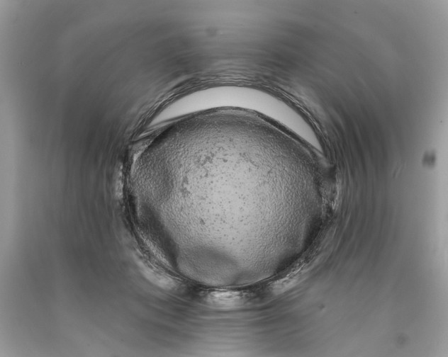 X0000089960413200707201953