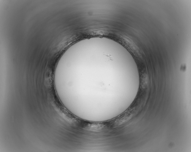 X0000089960414200707201953