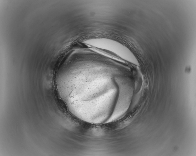 X0000089960416200707201953