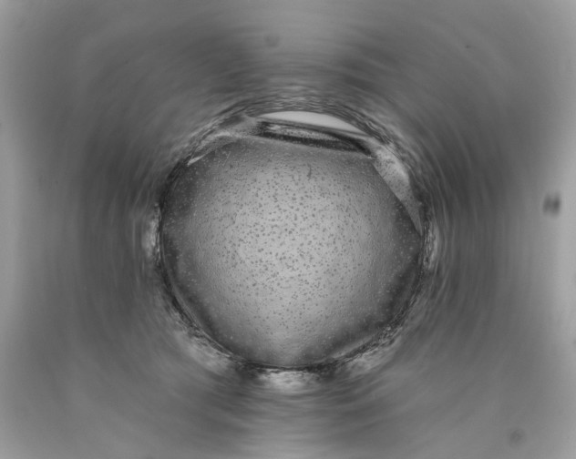 X0000089960417200707201953