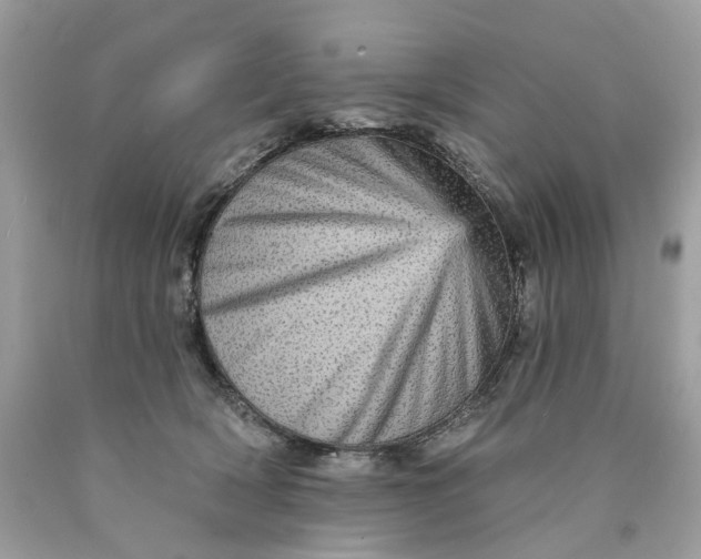 X0000089960418200707201953