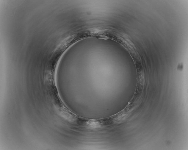 X0000089960419200707201953