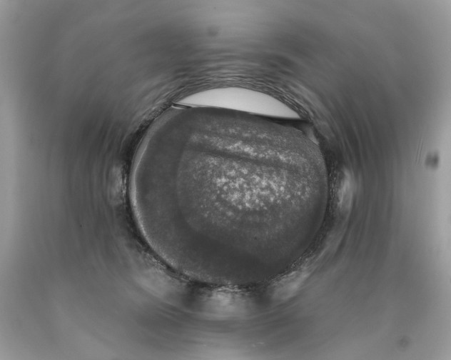 X0000089960420200707201953