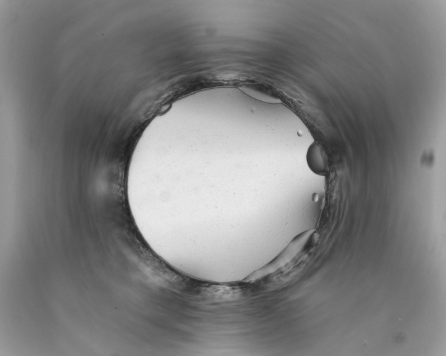 X0000089960421200707201953