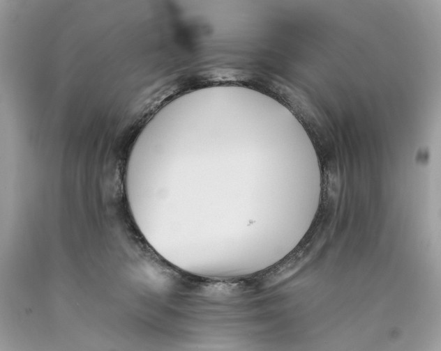 X0000089960422200707201953