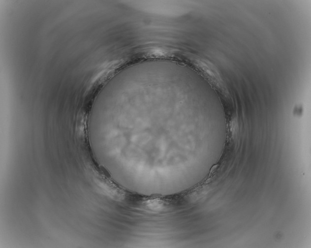 X0000089960423200707201953