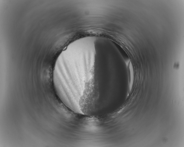 X0000089960424200707201953