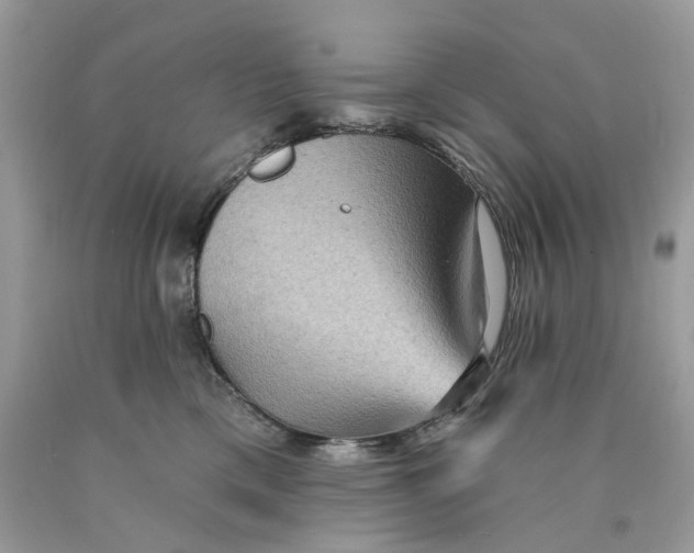 X0000089960425200707201953