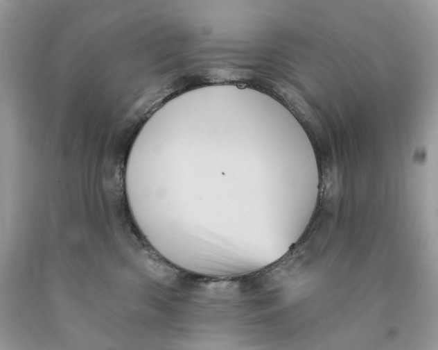 X0000089960426200707201953