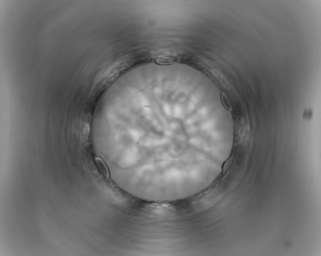 X0000089960427200707201953