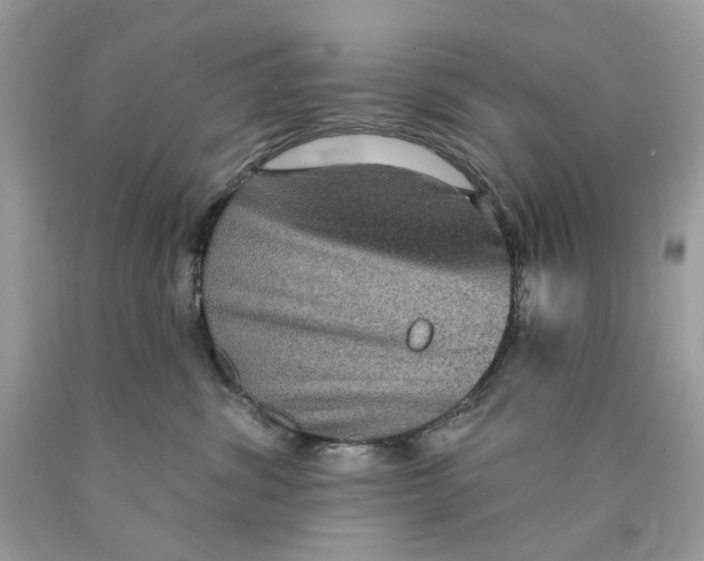 X0000089960428200707201953