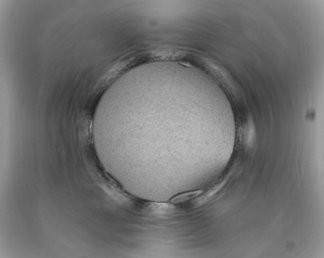 X0000089960429200707201953