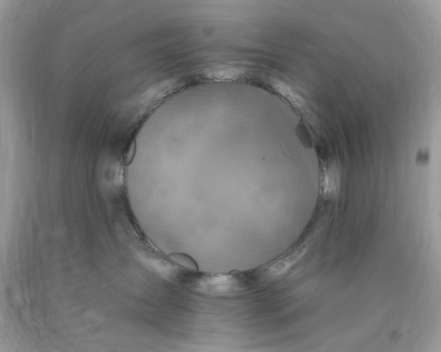 X0000089960431200707201953